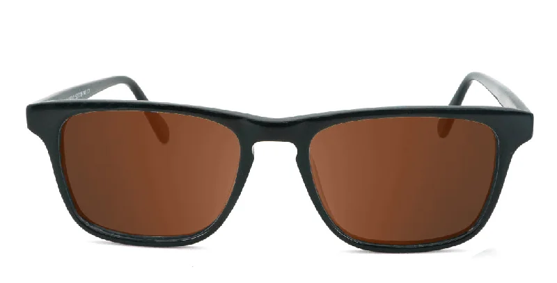 Polarized-Brown